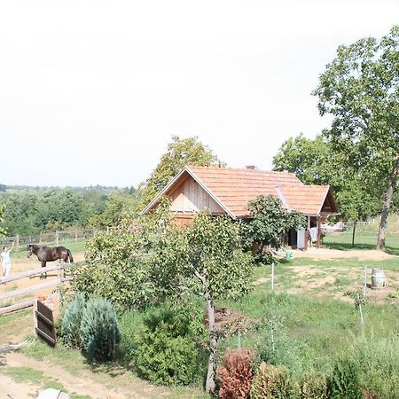 Farmica, Bed&Breakfast, Bazen Izdvojen Nekoliko Minuta Hoda Konuk evi Ðurđevac Oda fotoğraf