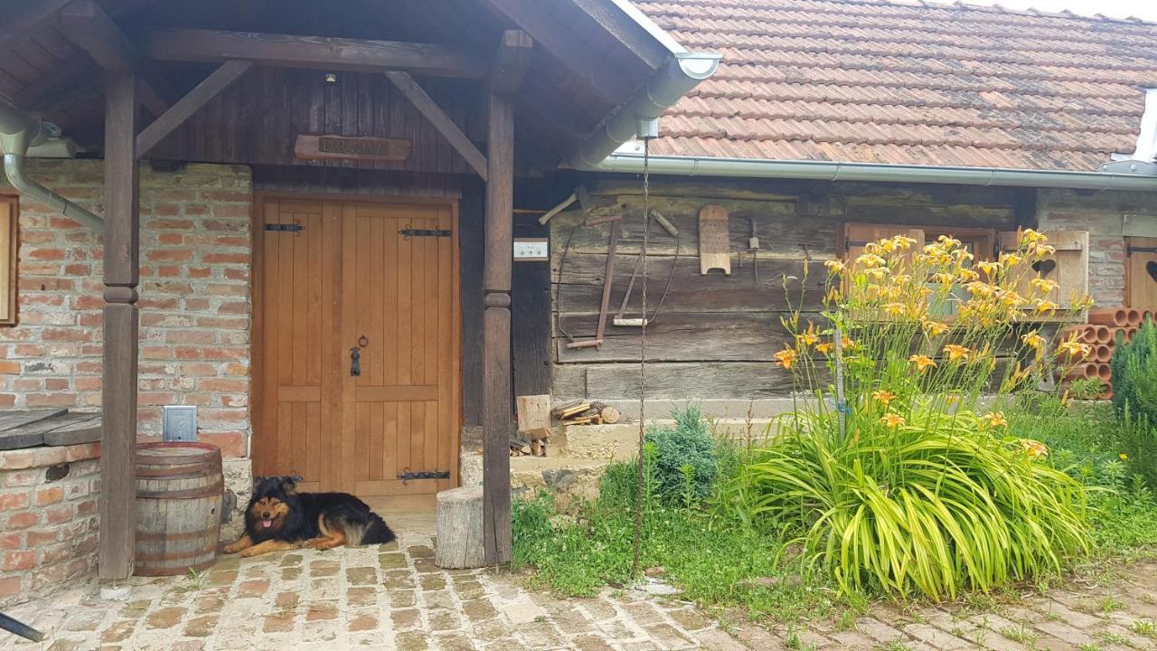 Farmica, Bed&Breakfast, Bazen Izdvojen Nekoliko Minuta Hoda Konuk evi Ðurđevac Dış mekan fotoğraf