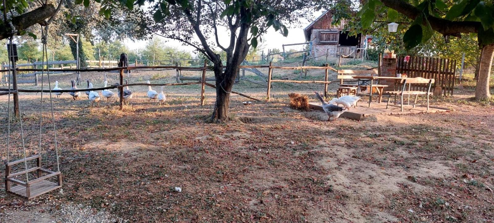 Farmica, Bed&Breakfast, Bazen Izdvojen Nekoliko Minuta Hoda Konuk evi Ðurđevac Dış mekan fotoğraf