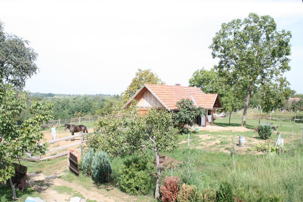 Farmica, Bed&Breakfast, Bazen Izdvojen Nekoliko Minuta Hoda Konuk evi Ðurđevac Oda fotoğraf