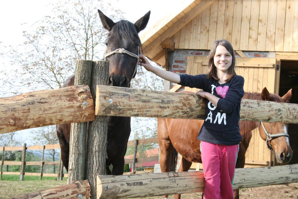 Farmica, Bed&Breakfast, Bazen Izdvojen Nekoliko Minuta Hoda Konuk evi Ðurđevac Dış mekan fotoğraf