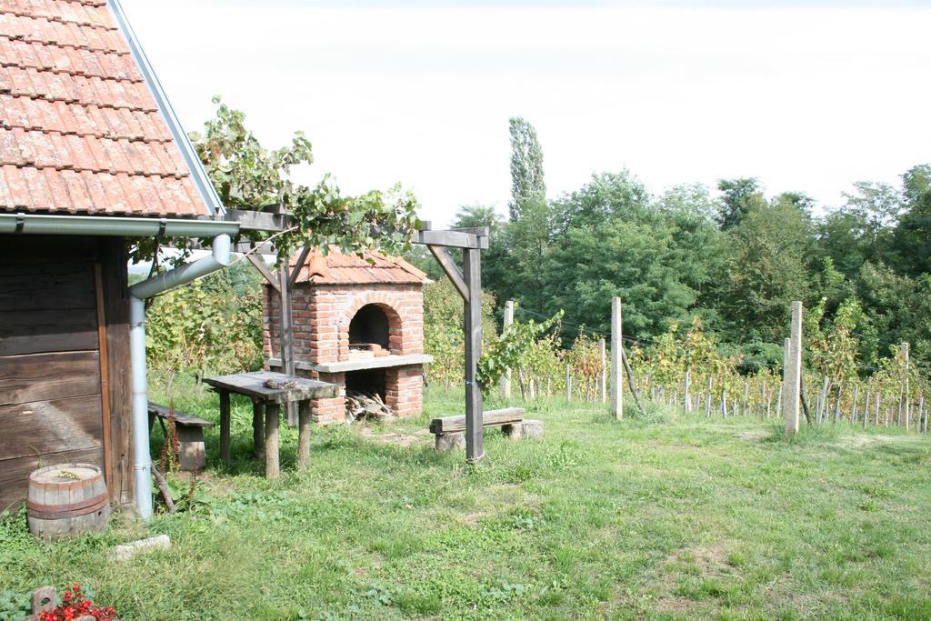 Farmica, Bed&Breakfast, Bazen Izdvojen Nekoliko Minuta Hoda Konuk evi Ðurđevac Oda fotoğraf