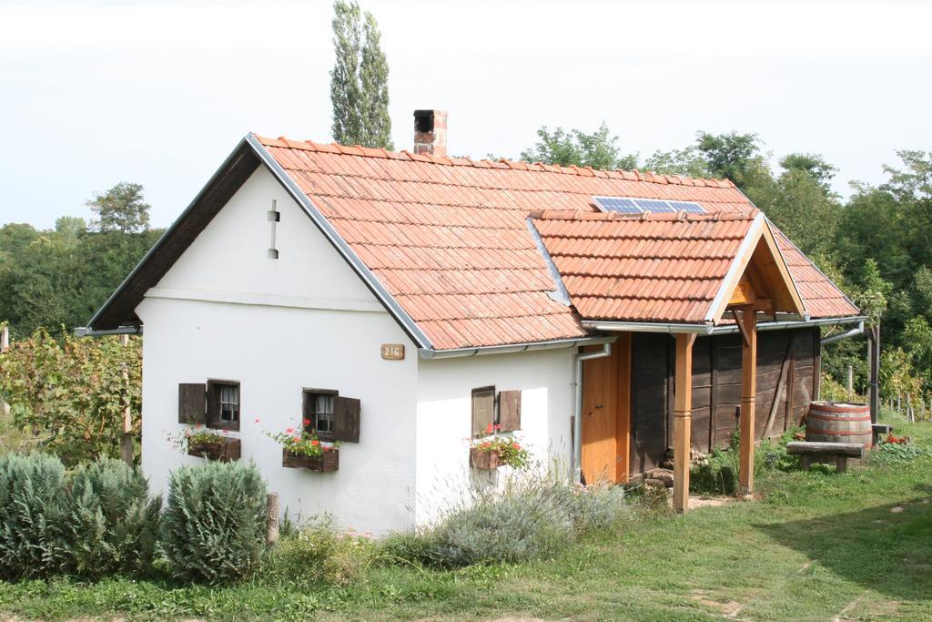 Farmica, Bed&Breakfast, Bazen Izdvojen Nekoliko Minuta Hoda Konuk evi Ðurđevac Oda fotoğraf