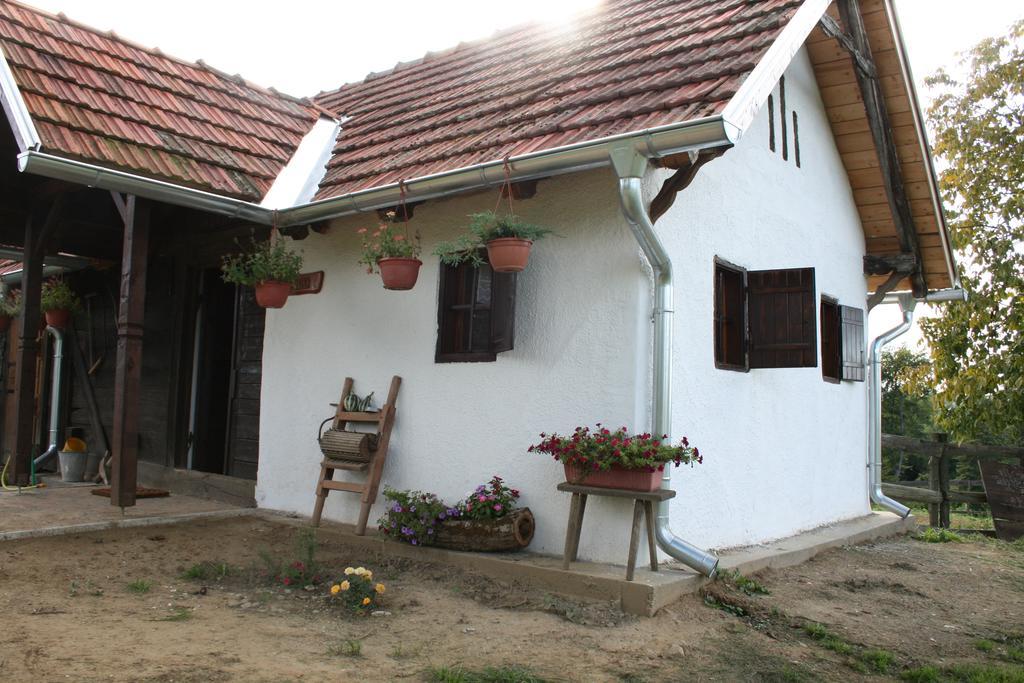 Farmica, Bed&Breakfast, Bazen Izdvojen Nekoliko Minuta Hoda Konuk evi Ðurđevac Oda fotoğraf