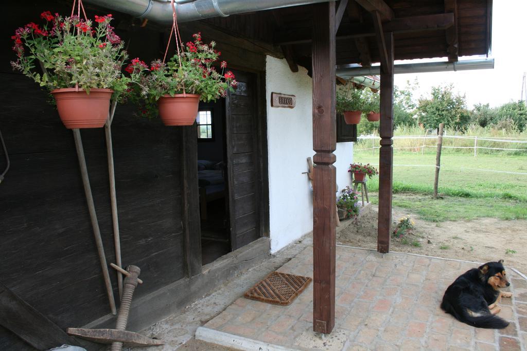 Farmica, Bed&Breakfast, Bazen Izdvojen Nekoliko Minuta Hoda Konuk evi Ðurđevac Dış mekan fotoğraf