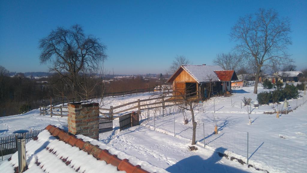 Farmica, Bed&Breakfast, Bazen Izdvojen Nekoliko Minuta Hoda Konuk evi Ðurđevac Dış mekan fotoğraf