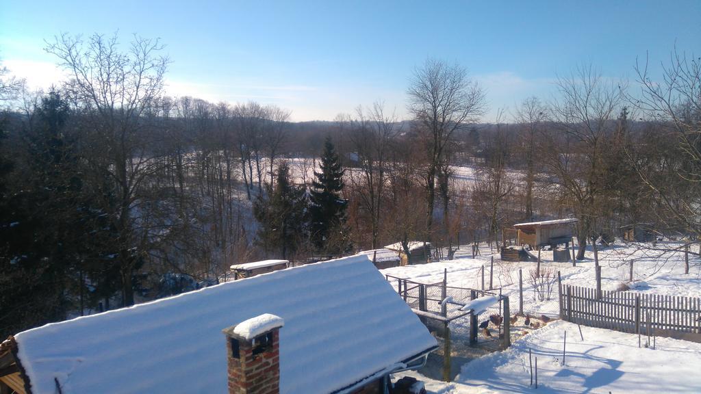 Farmica, Bed&Breakfast, Bazen Izdvojen Nekoliko Minuta Hoda Konuk evi Ðurđevac Dış mekan fotoğraf