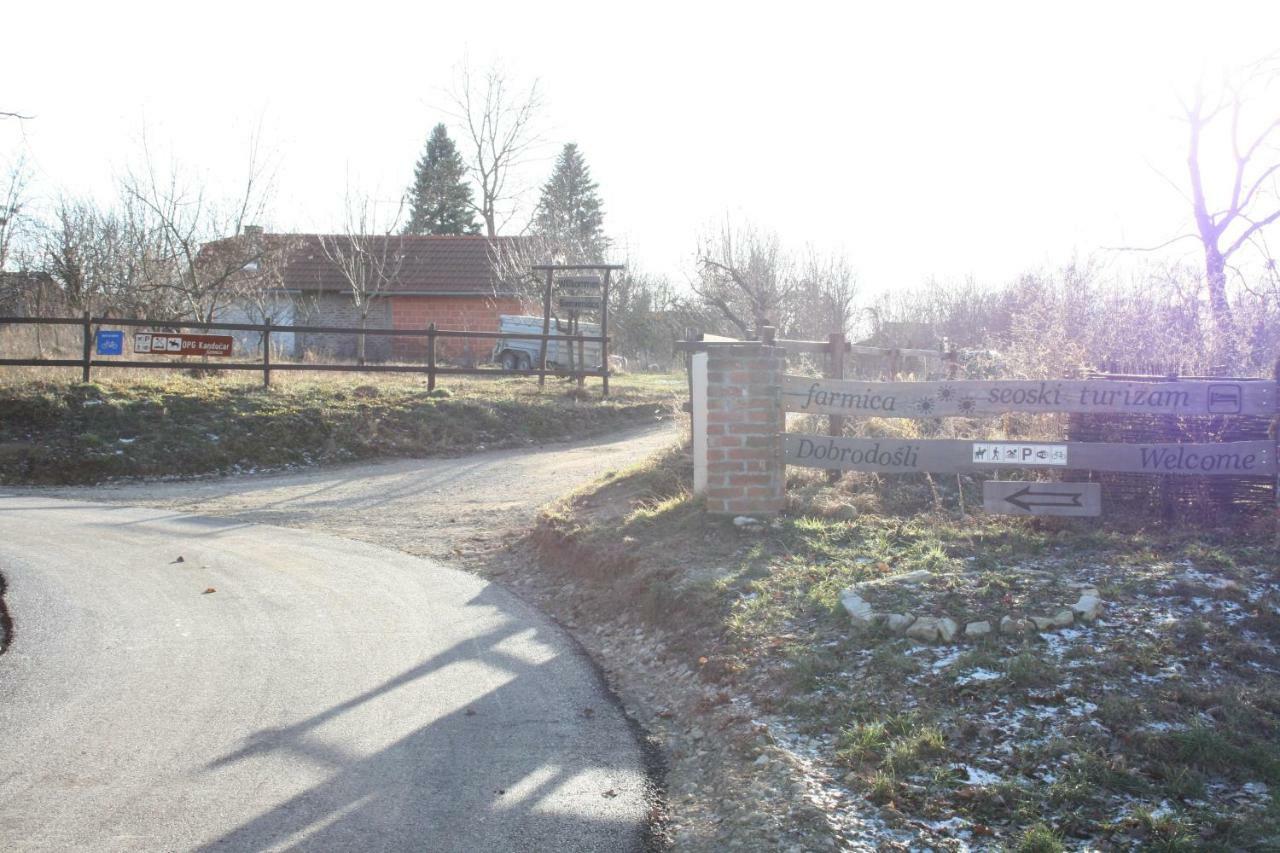 Farmica, Bed&Breakfast, Bazen Izdvojen Nekoliko Minuta Hoda Konuk evi Ðurđevac Dış mekan fotoğraf